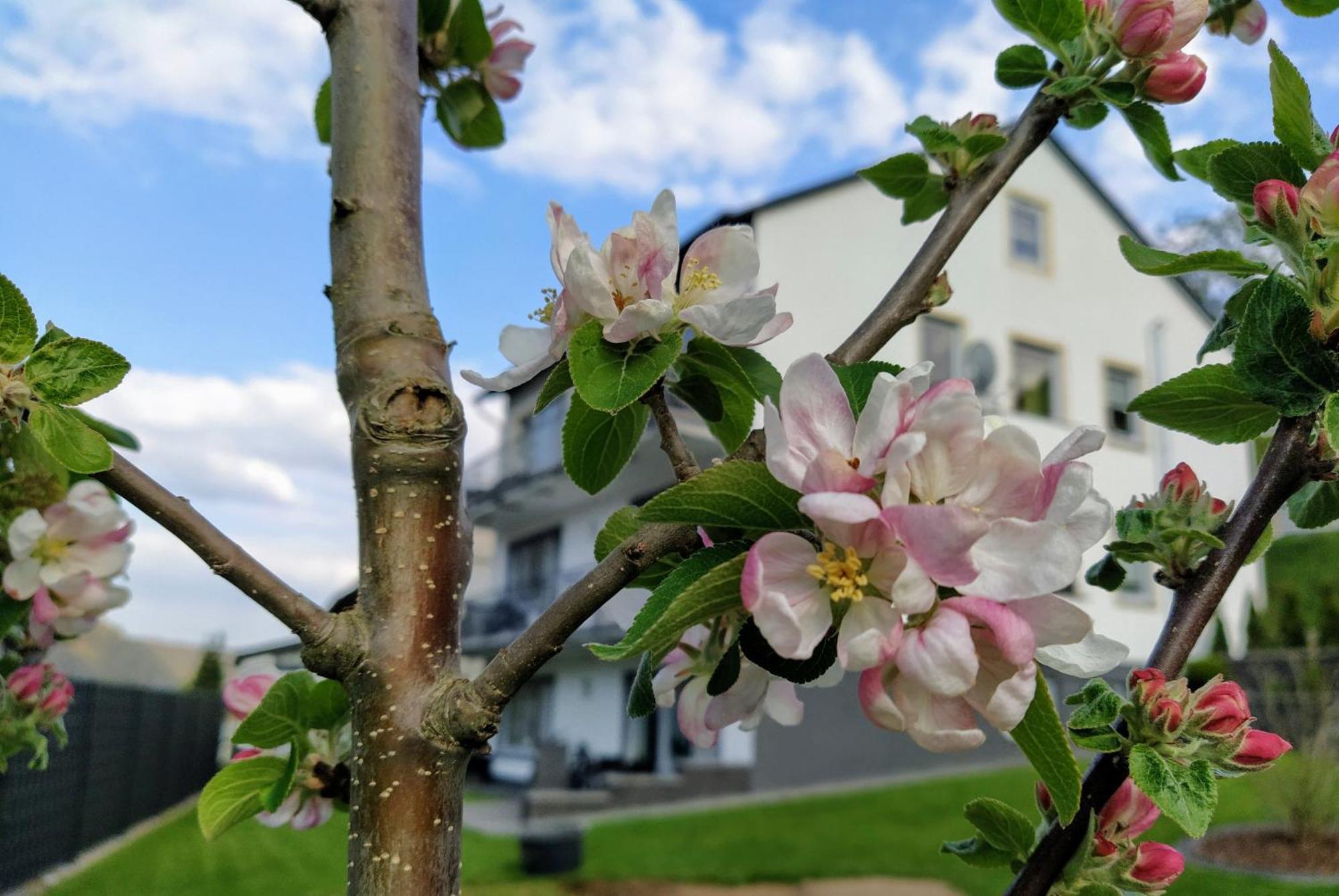 Apartamento Kleine Auszeit Cochem Exterior foto